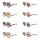 Etnia Barcelona FONTANA 54D Sonnenbrille