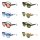 Etnia Barcelona RODAS SUN 53S Sonnenbrille