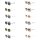 Etnia Barcelona AZAHARA 53D Sonnenbrille