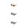 H.I.S Polarized HPS68118 Sonnenbrille