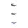 H.I.S Polarized HPS58105 Sonnenbrille