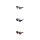 H.I.S Polarized HPS49102 Sonnenbrille