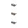 H.I.S Polarized HPS38102 Sonnenbrille