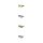 H.I.S Polarized HPS09101 Sonnenbrille