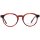Ted Baker TB8245 Brille Braun 48