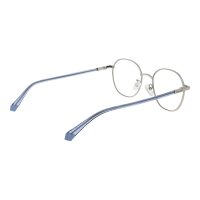 Polaroid PLD D456/G Brille Silber 51