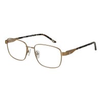 Quiksilver EQYEG03142 YKF0 Brille Gold