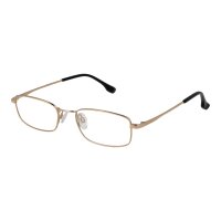 Bulget BG1940MT Brille Gold 53