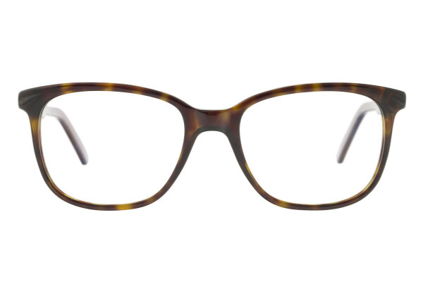 Andy Wolf Frame 4507 Col. B Acetate Brown