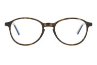 Andy Wolf Frame 4508 Col. B Acetate Brown