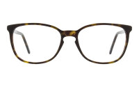 Andy Wolf Frame 4556 Col. B Acetate Brown