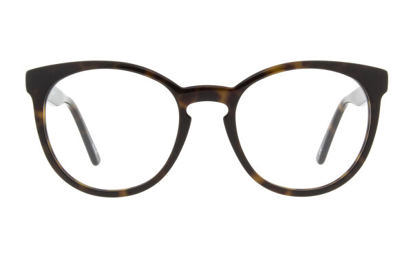 Andy Wolf Frame 4571 Col. B Acetate Brown