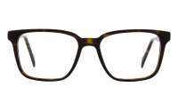 Andy Wolf Frame 4585 Col. B Acetate Brown