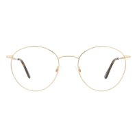 Andy Wolf Frame 4734 Col. B Metal Gold
