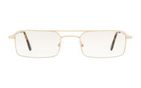 Andy Wolf Frame 4739 Col. B Metal Gold