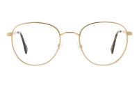 Andy Wolf Frame 4759 Col. B Metal Gold