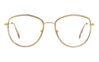 Andy Wolf Frame 4762 Col. 05 Metal Gold