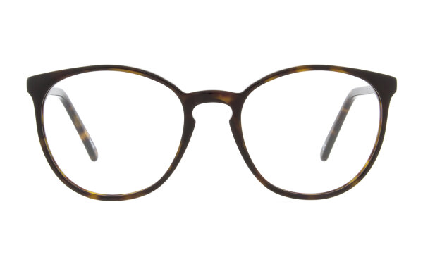 Andy Wolf Frame 5085 Col. B Acetate Brown