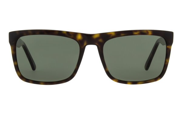 Andy Wolf Mario Sun Col. 02 Acetate Brown