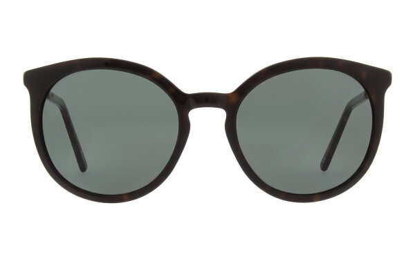Andy Wolf Miiko Sun Col. B Metal/Acetate Brown