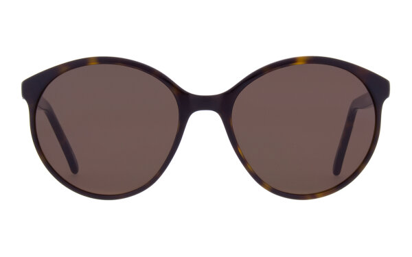 Andy Wolf Nadine Sun Col. 02 Acetate Brown