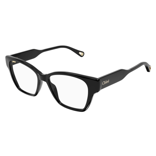 Chloé Frau International SCHWARZ RECYCLED ACETATE CH0200O Italien