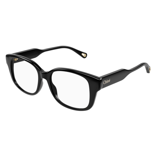 Chloé Frau International SCHWARZ RECYCLED ACETATE CH0198O Italien