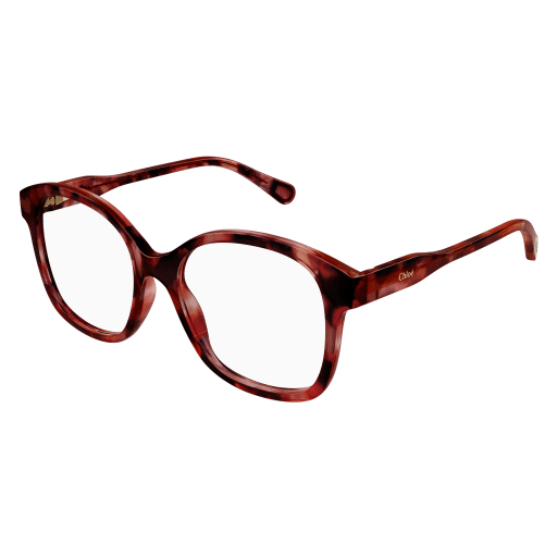 Chloé Kinder International HAVANNA RECYCLED ACETATE CC0013O China
