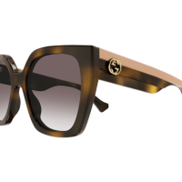 Gucci Frau International HAVANNA RECYCLED ACETATE GG1300S Japan