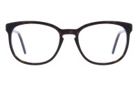 Andy Wolf Frame 4612 Col. 02 Acetate Brown
