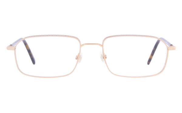 Andy Wolf Frame 4787 Col. 02 Metal Gold