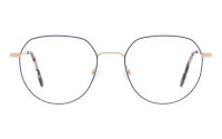 Andy Wolf Frame 4791 Col. 05 Metal Gold