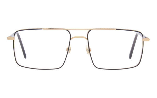 Andy Wolf Frame 4795 Col. 06 Metal Gold