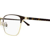 Gucci Mann Asian Fitting BRAUN METALL GG1124OA Japan