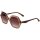 Ted Baker 1736 100 Damen Vollrand Braun