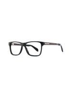 WOODFELLAS Wood/Acetate Optical Waldau 10941 Holz/Acetat...