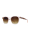 WOODFELLAS Sunglasses Pottenstein shiny 10776 Holz/Acetat macassar/crystal gold