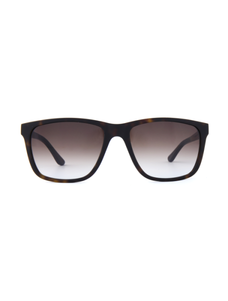 WOODFELLAS Sunglasses Focus 11716 Holz/Acetat curled/havana