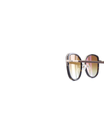 WOODFELLAS Sunglasses Shift 11725 Holz/Acetat walnut/havana