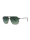 WOODFELLAS Sunglasses Jog 11728 Holz/Acetat walnut/green