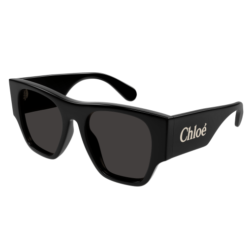 Chloé Frau International SCHWARZ RECYCLED ACETATE CH0233S Italien