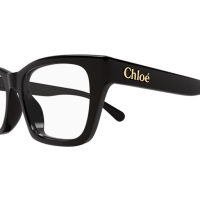 Chloé Frau International CH0242O Italien - Farbcode 001
