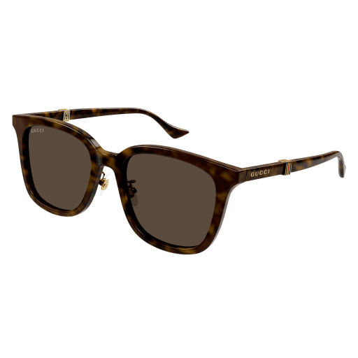 Gucci Mann Korean HAVANNA RECYCLED ACETATE GG1498SK Japan
