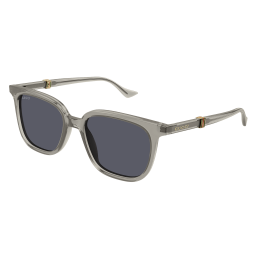 Gucci Mann International BRAUN RECYCLED ACETATE GG1493S Japan