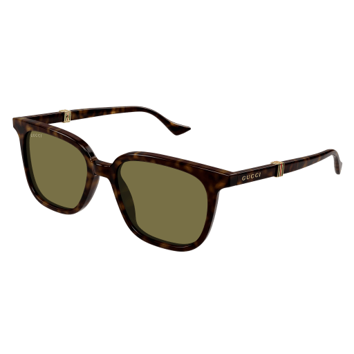 Gucci Mann International HAVANNA RECYCLED ACETATE GG1493S Japan