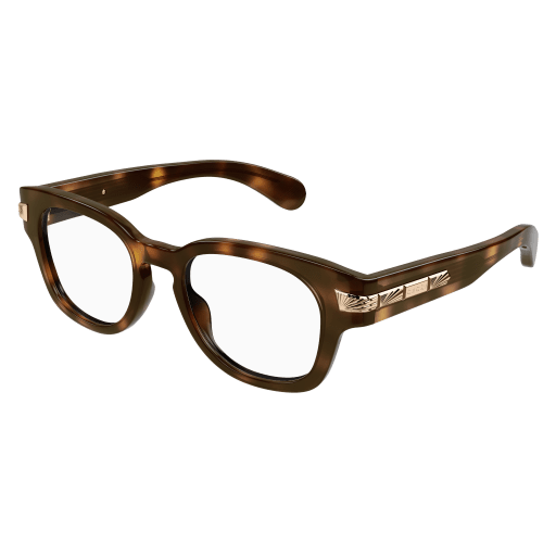 Gucci Mann International HAVANNA RECYCLED ACETATE GG1518O Japan