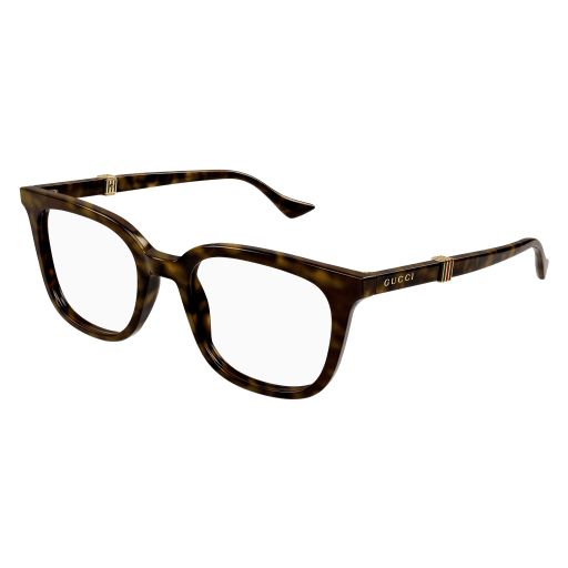 Gucci Mann International HAVANNA RECYCLED ACETATE GG1497O Japan