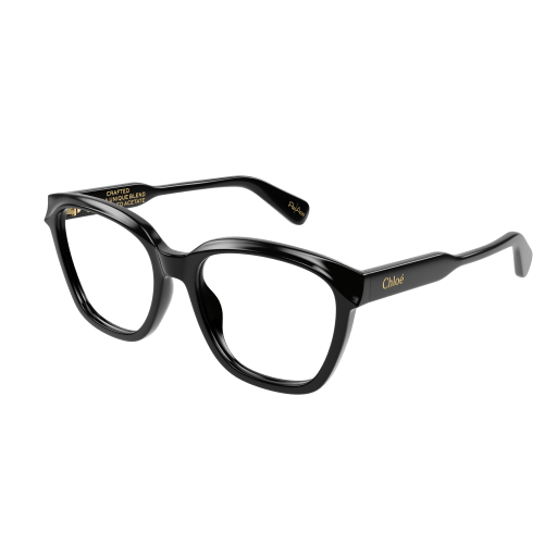 Chloé Frau International SCHWARZ RECYCLED ACETATE CH0265O Italien