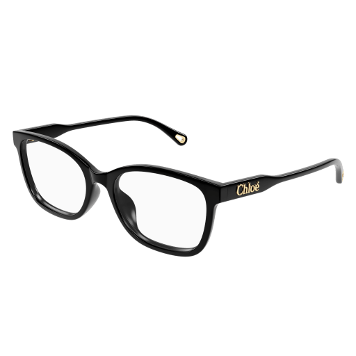 Chloé Frau Asian Fitting SCHWARZ RECYCLED ACETATE CH0276OA Italien