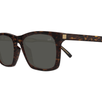 Dunhill Mann Asian Smart Fitting HAVANNA RECYCLED ACETATE DU0083S Japan